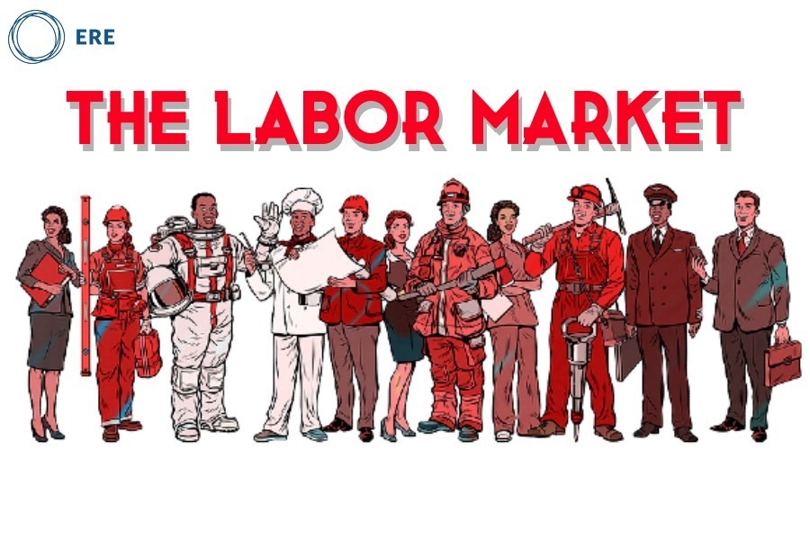 Labor Market Flexibility || Types of Labor Market Flexibility